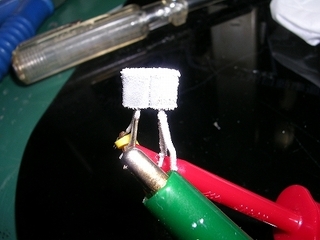 DSCN0285.jpg