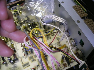 DSCN8129.JPG