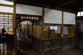DSC_2015.jpg