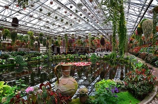 DSC_2122.jpg