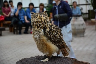 DSC_2173.jpg