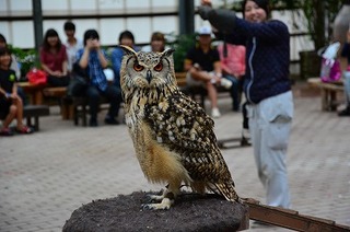 DSC_2179.jpg