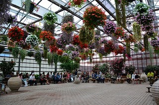 DSC_2190.jpg