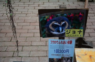 DSC_2198.jpg