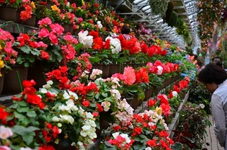 DSC_2354.jpg