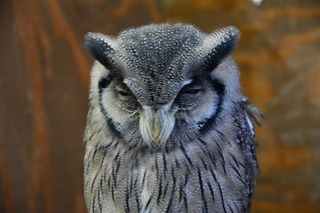 DSC_2358.jpg