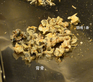 DSC_3062-1のコピー.jpg