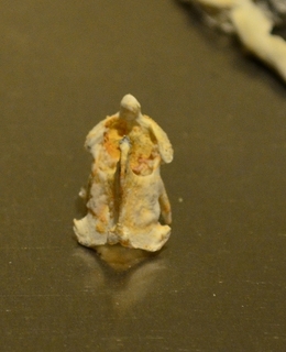 DSC_3079-1.jpg