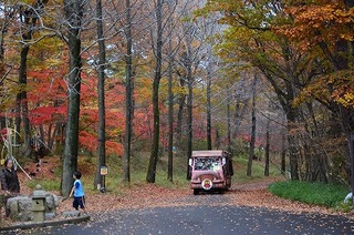 DSC_4251.jpg