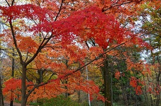 DSC_4258.jpg