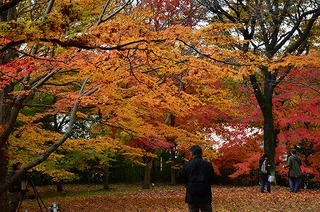 DSC_4263.jpg