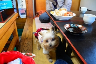 DSC_4800.jpg