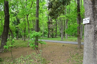 DSC_4825.jpg