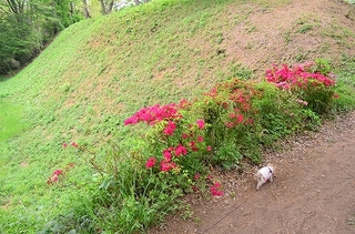 DSC_4832.jpg