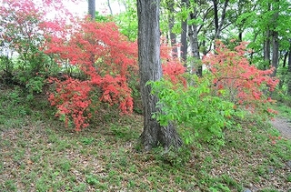 DSC_4836.jpg