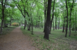 DSC_4840.jpg
