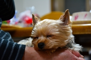 DSC_5435.jpg