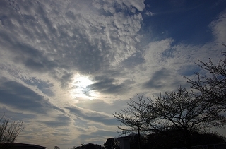IMGP2105.jpg
