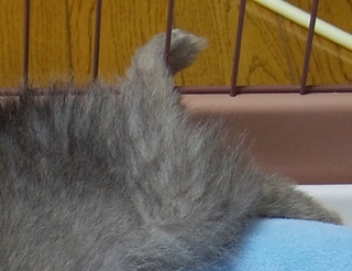 IMGP8961-21.jpg