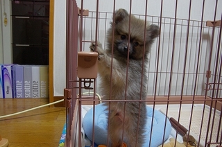 IMGP9112.jpg
