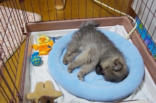 IMGP9128.jpg