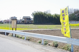IMGP9768.jpg