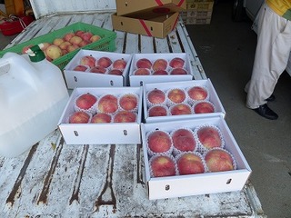 P1000044.jpg