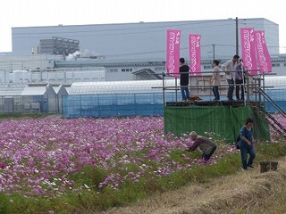P1000630.jpg