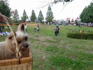 P1000685.jpg