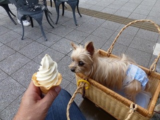 P1000691.jpg
