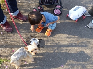 P1020455.jpg